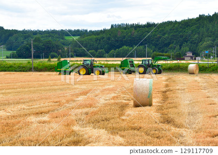 Hay roll farming in Hokkaido Hay roll farming in Hokkaido 129117709