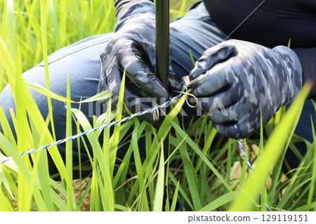 電圍欄 電圍欄 129119151