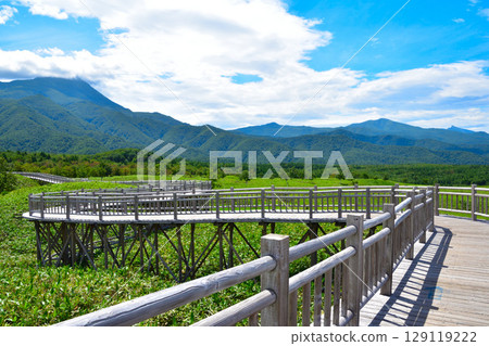 Shiretoko-Goroko Elevated tree road Shiretoko-Goroko Elevated tree road 129119222