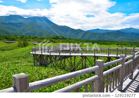 Shiretoko-Goroko Elevated tree road 129119277