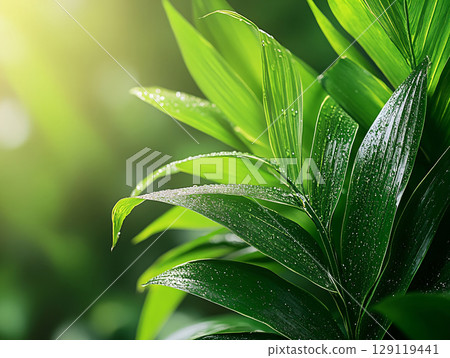 Beautiful green leaves on green background. AI Generated. 129119441