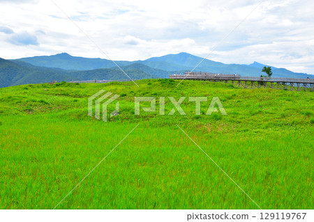 Shiretoko-Goroko高架樹路 Shiretoko-Goroko高架樹路 129119767