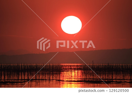 Omuta City Ariake Sea Nori field, 129120500