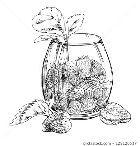 Strawberry full and cut in half served in glass with leaves, ripe picked berry pineberry strasberry snakeberry harvest. Isolated illustration hand drawn in vector ink. Farmers market grocery preserves 129120537