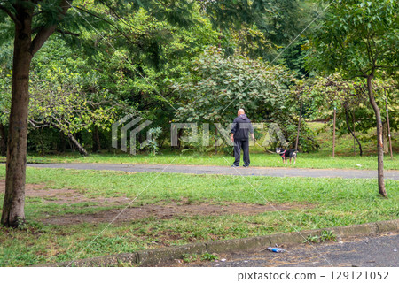bald man walks his dog. Dog on a leash. Idyll on the outskirts of the city. bald man walks his dog. Dog on a leash. Idyll on the outskirts of the city. 129121052