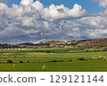 Hilly landscape with fields and pastures and view of the Serra de Tramuntana mountains with the Massanella peak in Mallorca, Balearic Islands, Spain 129121144