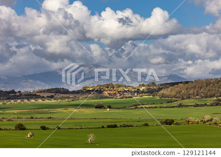 Hilly landscape with fields and pastures and view of the Serra de Tramuntana mountains with the Massanella peak in Mallorca, Balearic Islands, Spain 129121144