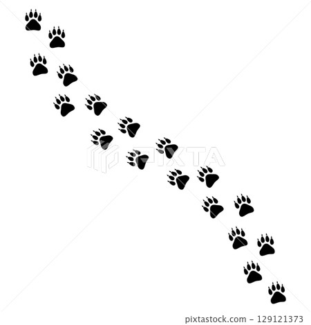 野生動物的腳印 129121373