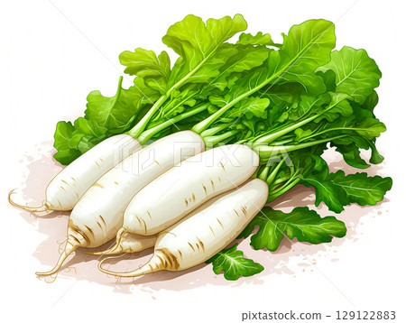 很多日本蘿蔔 129122883