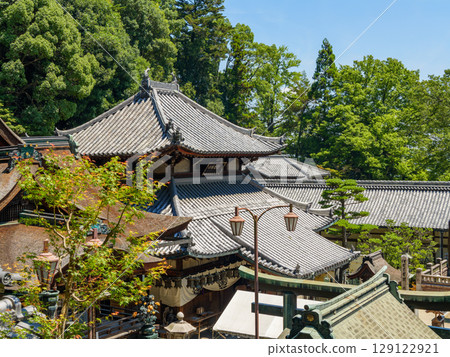 [Nara Prefecture] Hozan-ji Temple, Ikoma City (photographed on July 29, 2025) 129122921