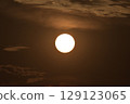 The shining sunlight. 129123065