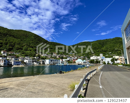 Nagasaki Prefecture, Goto Islands, Nakadori Island, Narao, Akou trees and shrine approach 129123437