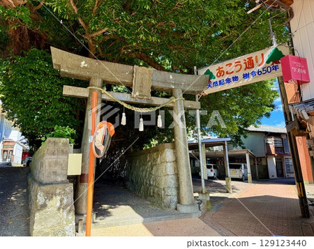 Nagasaki Prefecture, Goto Islands, Nakadori Island, Narao, Akou trees and shrine approach Nagasaki Prefecture, Goto Islands, Nakadori Island, Narao, Akou trees and shrine approach 129123440