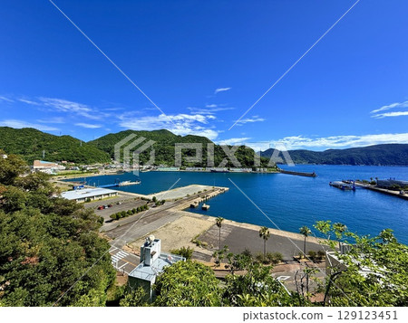 Nagasaki Prefecture, Goto Islands, Nakadori Island, Narao, Akou trees and shrine approach Nagasaki Prefecture, Goto Islands, Nakadori Island, Narao, Akou trees and shrine approach 129123451