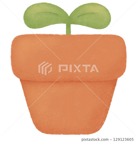 Plant in a pot Plant in a pot 129123605