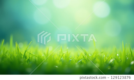 Fresh green grass with soft sunlight and blurred bokeh background, spring nature backdrop with copy space 129123876