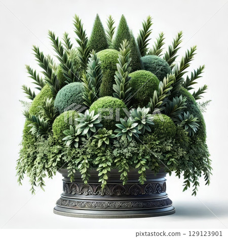 Decorative green plant arrangement in ornate pot with lush foliage and sculpted topiary. Botanical design element for garden and interior decor 129123901
