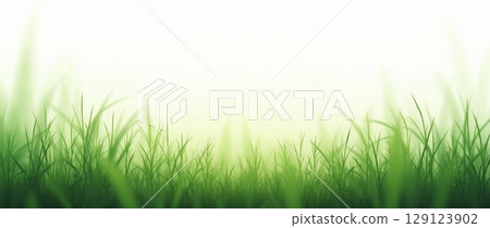 Green grass field with soft blurred background and copy space. Natural landscape for spring, summer, eco, and environmental design 129123902