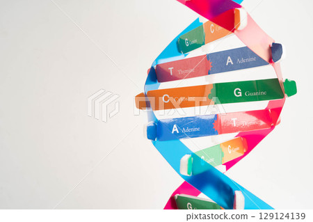 DNA molecule spiral structure model isolated on white background, chromosome and gene chemical science biology. 129124139