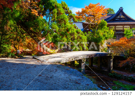 Autumn at Hiyoshi Taisha Shrine - Hashiri Bridge 129124157