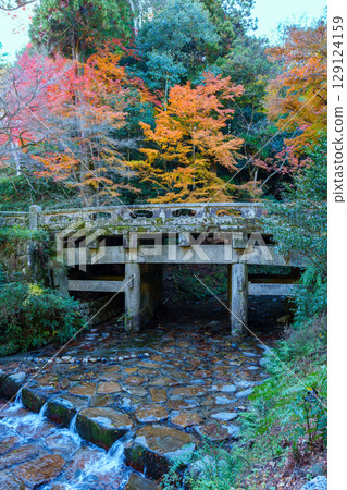 Autumn at Hiyoshi Taisha Shrine, Omiya Bridge 129124159