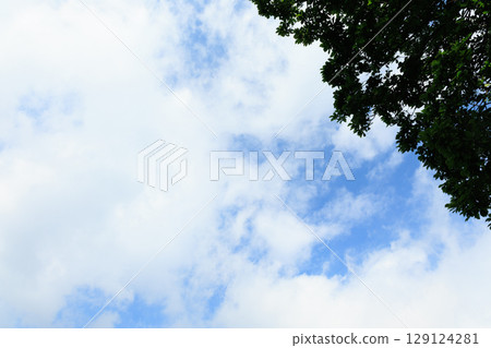 Clouds and blue sky 129124281
