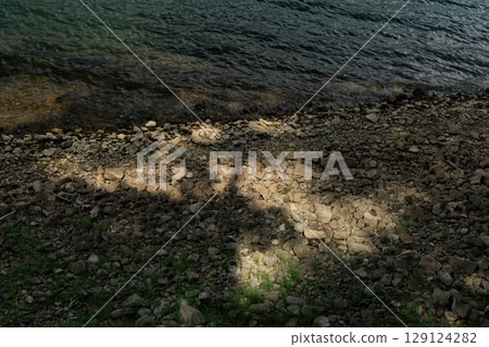 Shadow of a tree falling on the lakeside 129124282