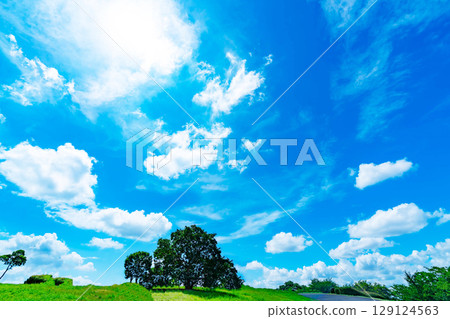藍天、白雲、陽光、草地 藍天、白雲、陽光、草地 129124563