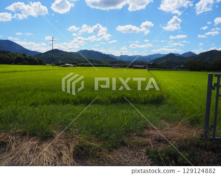 Nostalgic landscape Nostalgic landscape 129124882