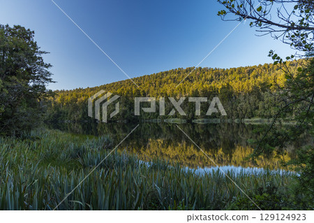 A view of Lake Matheson, a glacial lake on the West Coast of New Zealand 129124923