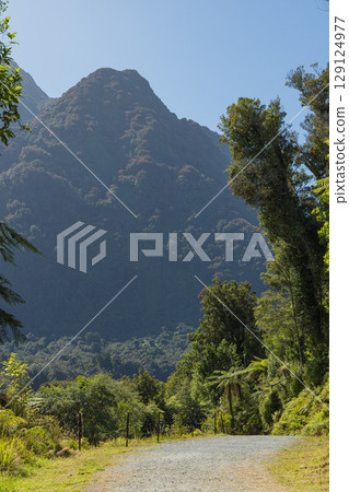 View of Fox Glacier South Side Walk on New Zealand's West Coast 129124977