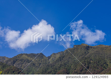 紐西蘭西海岸福克斯冰川南側步道的景色 紐西蘭西海岸福克斯冰川南側步道的景色 129124993