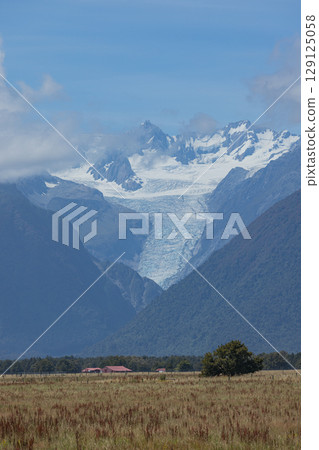 Fox Glacier as seen from a viewpoint in the West Coast region of New Zealand Fox Glacier as seen from a viewpoint in the West Coast region of New Zealand 129125058