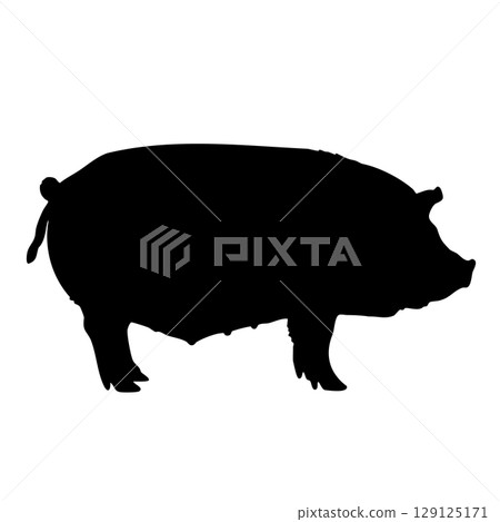 牲畜和十二生肖的象徵。一隻豬側站立的簡單剪影插圖。豬肉菜餚、餐廳、火腿 牲畜和十二生肖的象徵。一隻豬側站立的簡單剪影插圖。豬肉菜餚、餐廳、火腿 129125171