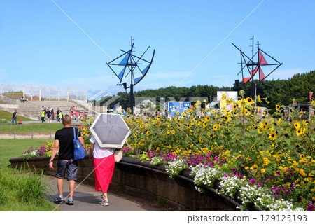 A couple walking beside a sunflower bed at Tsujido Seaside Park 129125193