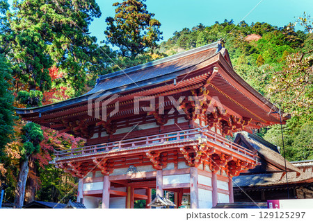 日吉大社的秋天：西本宮的塔門 129125297