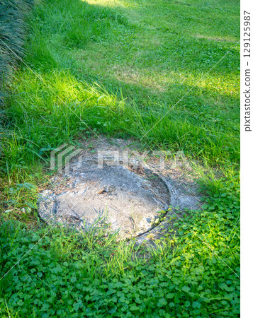Stone sewer manhole next to the grass. Entrance to underground communications. 129125987