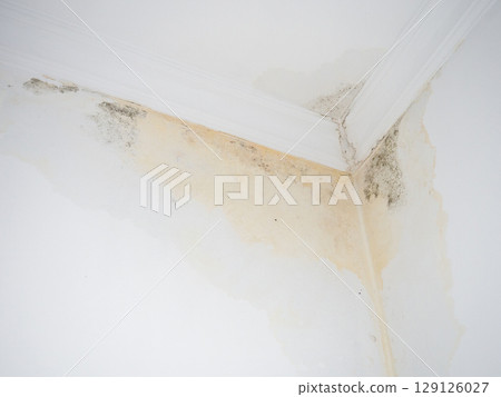 Leak on white ceiling. The sewer pipes are faulty. Concept of leaking pipes in a house. The neighbors have a faulty toilet. Public housing problem. Leak on white ceiling. The sewer pipes are faulty. Concept of leaking pipes in a house. The neighbors have a faulty toilet. Public housing problem. 129126027