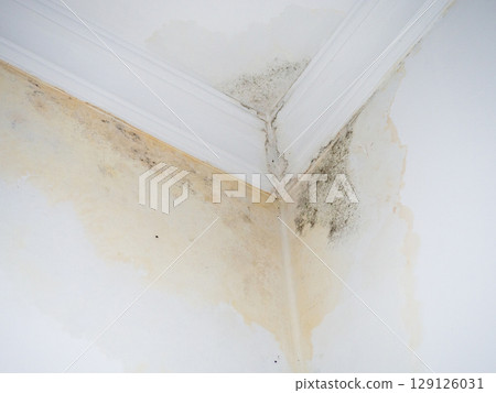 Leak on white ceiling. The sewer pipes are faulty. Concept of leaking pipes in a house. The neighbors have a faulty toilet. Public housing problem. Leak on white ceiling. The sewer pipes are faulty. Concept of leaking pipes in a house. The neighbors have a faulty toilet. Public housing problem. 129126031