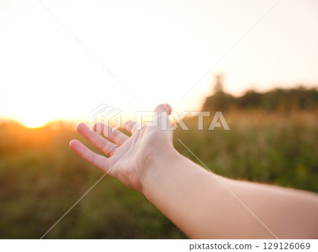 Warm sunset hues create peaceful, dreamy countryside atmosphere. 129126069