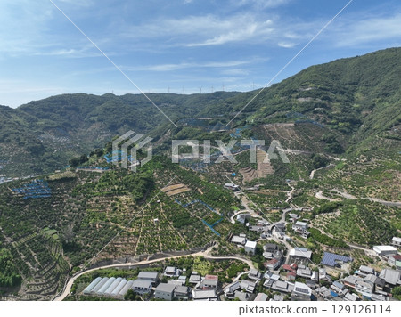 無人機空拍的和歌山縣美麗的橘子山 129126114