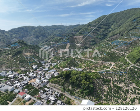 Drone aerial shot of the beautiful mandarin orange hills of Wakayama Prefecture 129126120