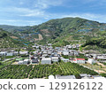 無人機空拍的和歌山縣美麗的橘子山 129126122