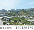 無人機空拍的和歌山縣美麗的橘子山 129126175
