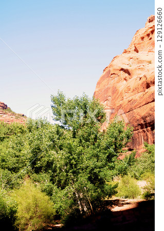 Surrounding Terrain, Cliffs, and Valley Canyon De Chelly Arizona 129126660