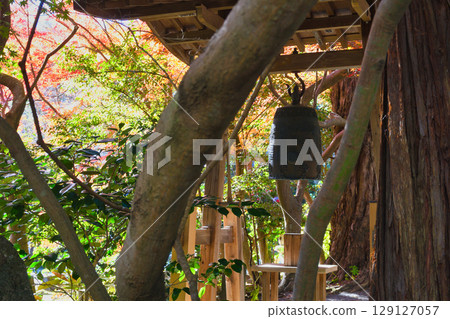 鎌倉覺園寺的美麗秋葉和鐘聲（神奈川縣鎌倉市） 129127057