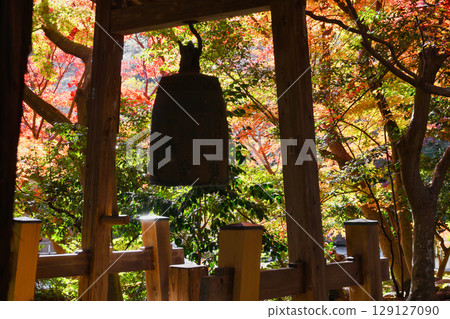 鎌倉覺園寺的美麗秋葉和鐘聲（神奈川縣鎌倉市） 129127090