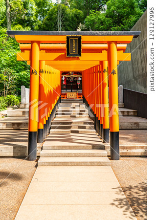 Ikuta Shrine (Ikuta-san), one of the oldest and most prestigious shrines in Japan, is a branch shrine of Inari Shrine (Ikuta Inari Daimyojin), located in Shimoyamate-dori, Chuo Ward, Kobe City. Ikuta Shrine (Ikuta-san), one of the oldest and most prestigious shrines in Japan, is a branch shrine of Inari Shrine (Ikuta Inari Daimyojin), located in Shimoyamate-dori, Chuo Ward, Kobe City. 129127996