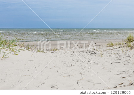 Pristine White Sand Dunes and Gentle Waves on Latvia Baltic Sea Coast 129129005