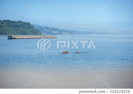 Kotogahama Beach, Manazuru Town, Kanagawa Prefecture, coastline view 129129259